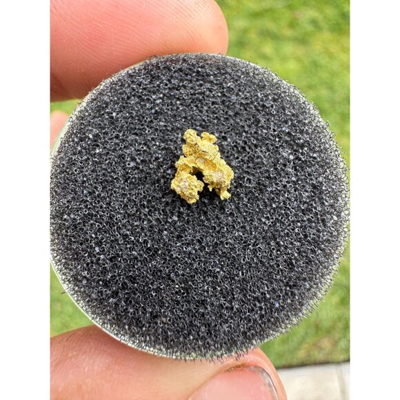 California Native Gold Crystal - 0.48 grams - Picture 5 of 5